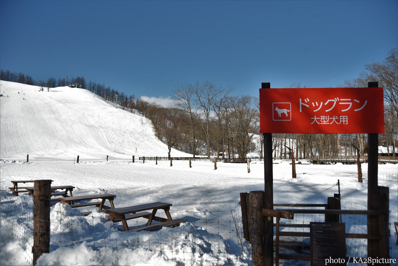 めむろ新嵐山スカイパーク｜雪山の楽しみ方は、あなた次第！お洒落に生まれ変わった十勝のローカルスキー場へ(*^^*)